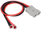 Anderson Extension Cord
